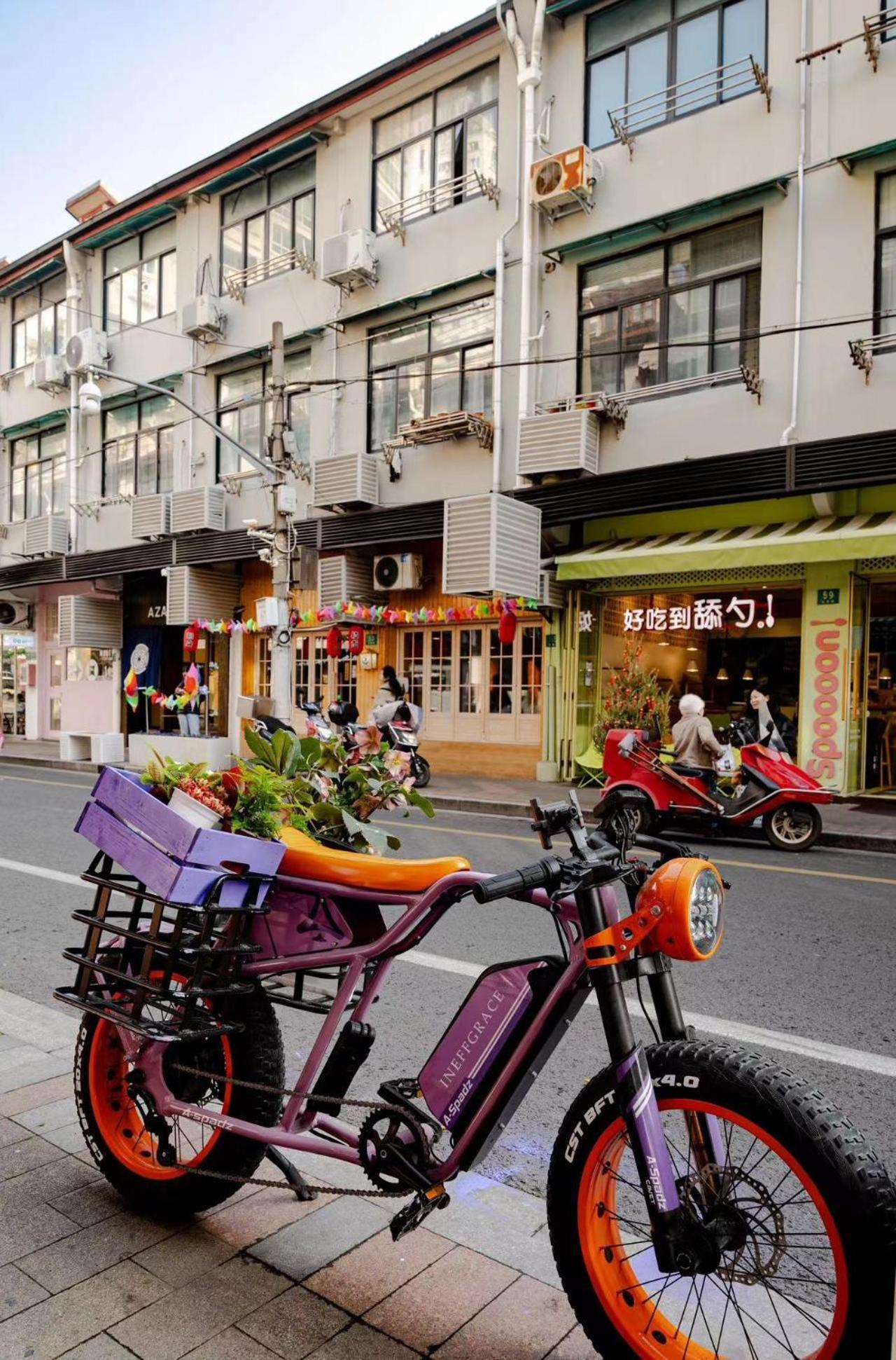 Downtown Blossom B&b- Yongkang Road Shanghai