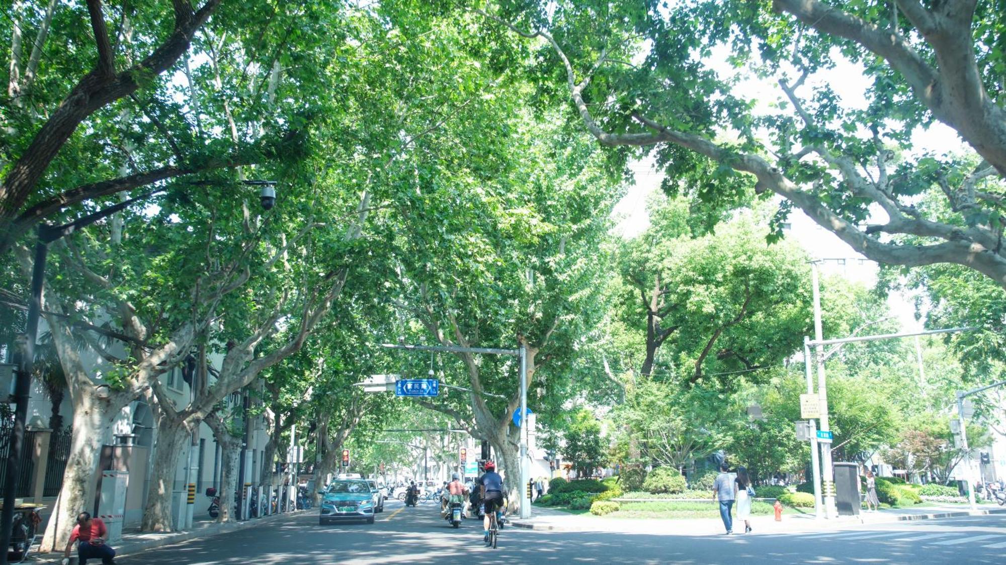 Downtown Blossom B&b- Yongkang Road Homestay